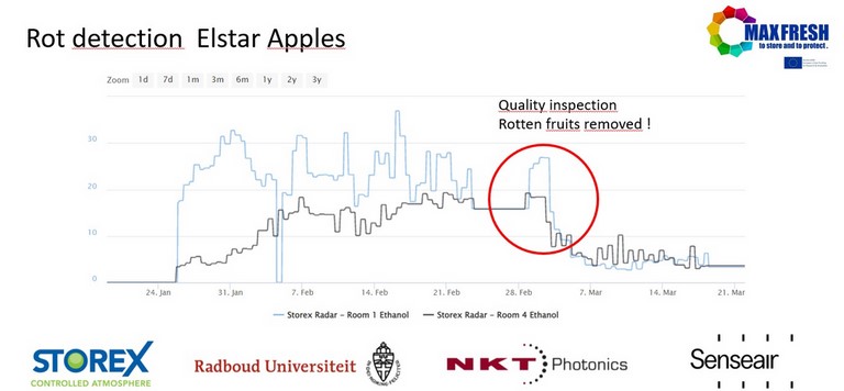 removal of rot removal of rotten apples